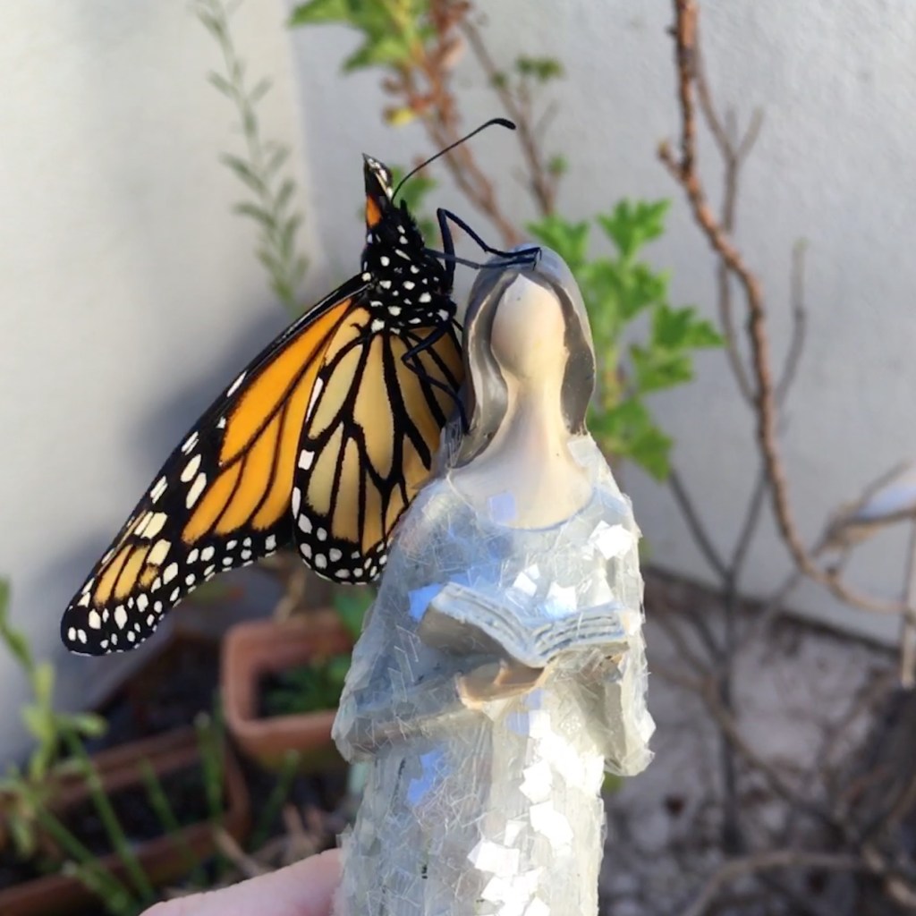 Angel Reading a Book and a Butterfly