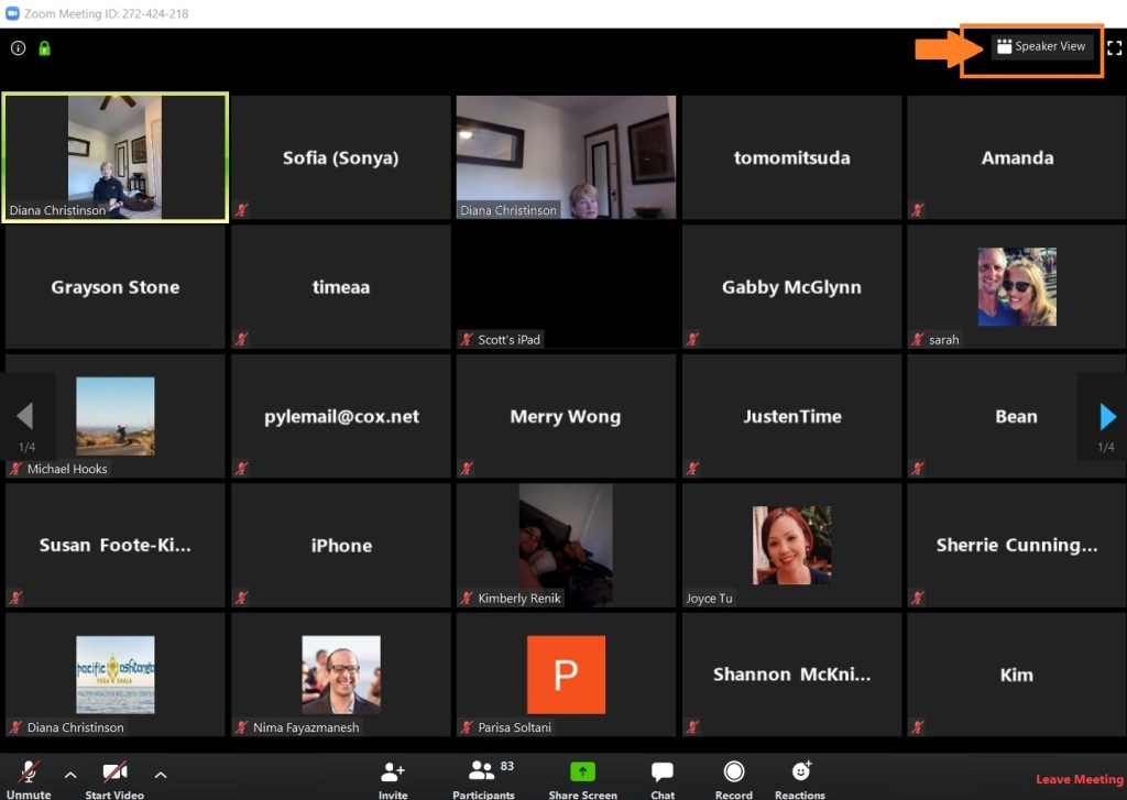 Pacific Ashtanga first Zoom 