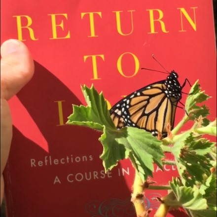 Return to Love, Marianne Williamson